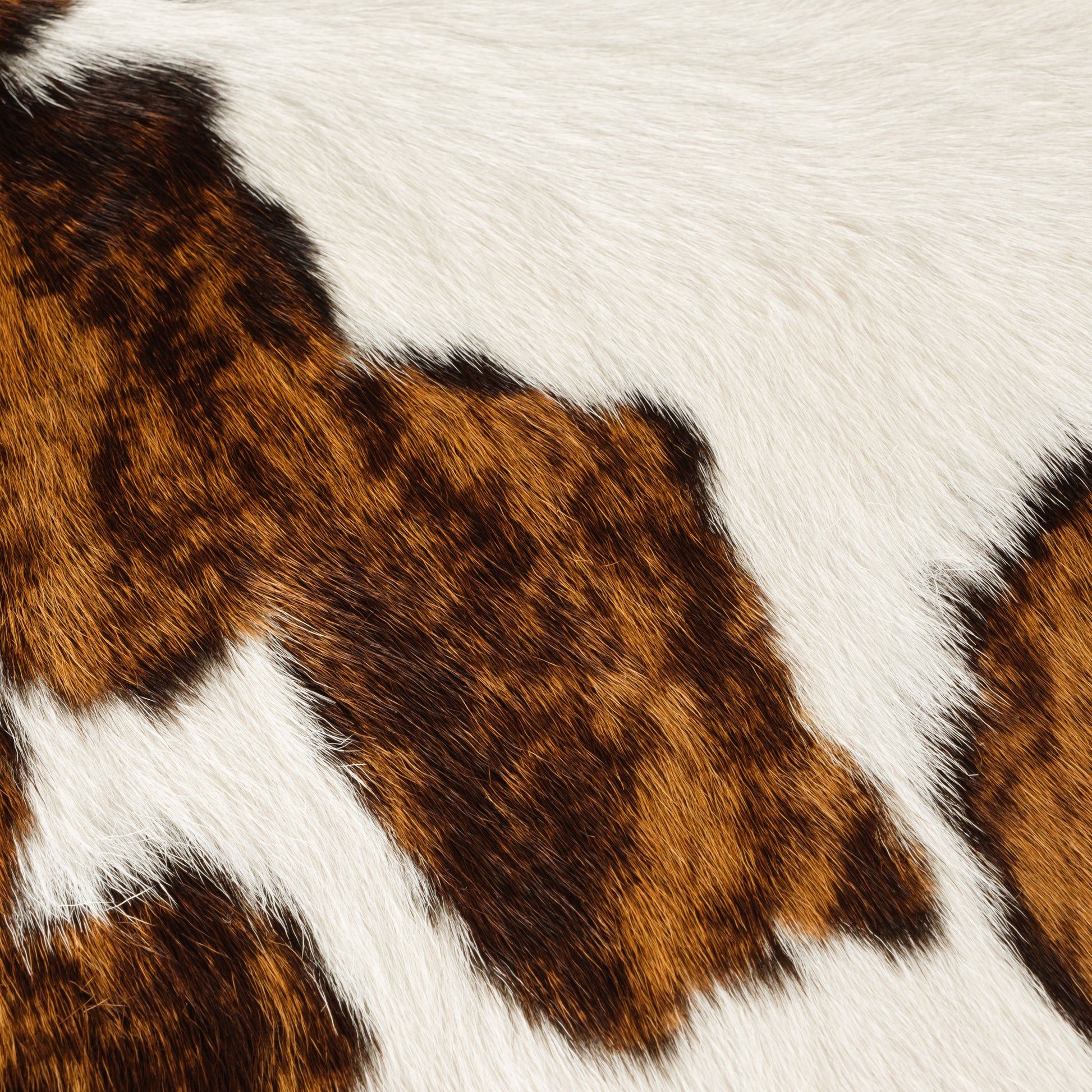 Brown & White Brindle Calf Skin Rug CF152 Detail Shot 1