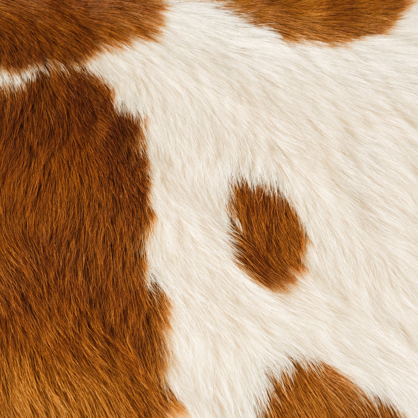 Brown & White Calf Skin Rug CF155 Detail Shot 1