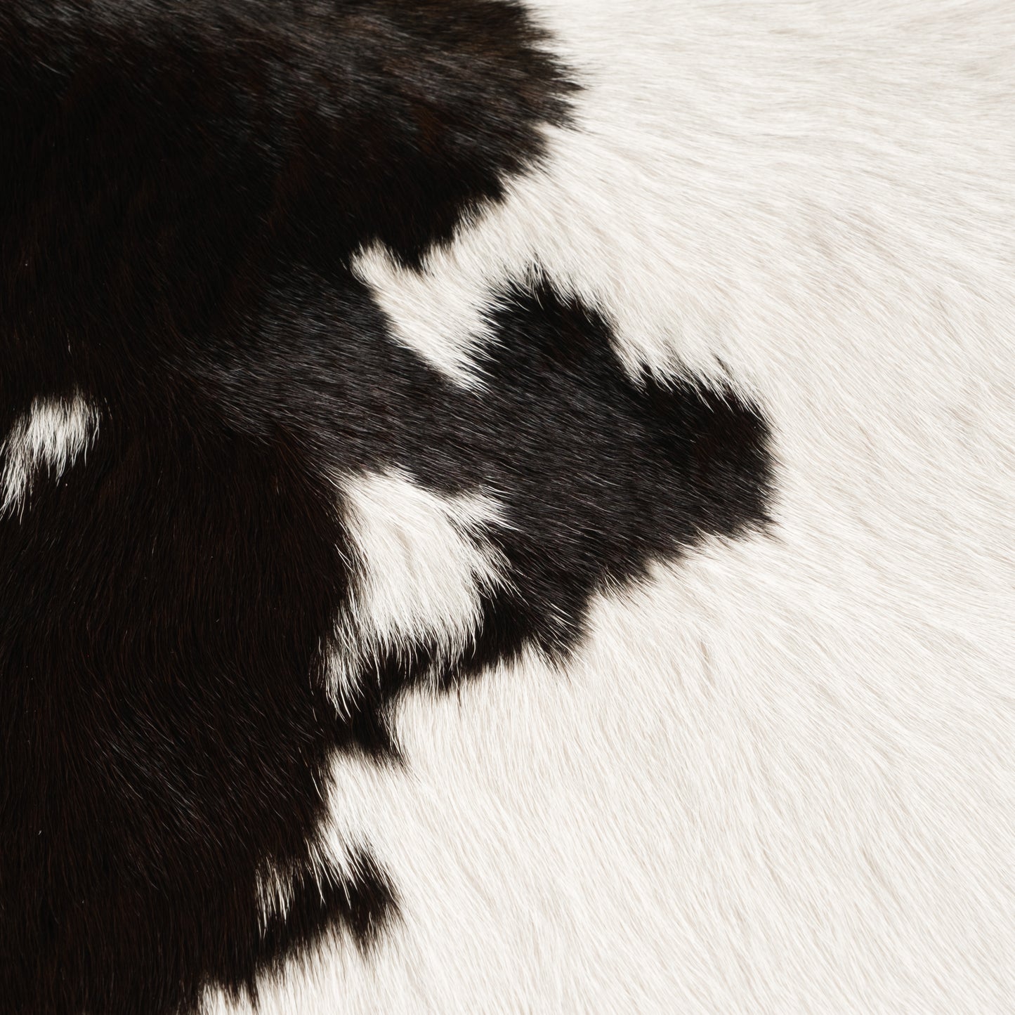 Black & White Calf Skin Rug CF157 Detail Shot 1