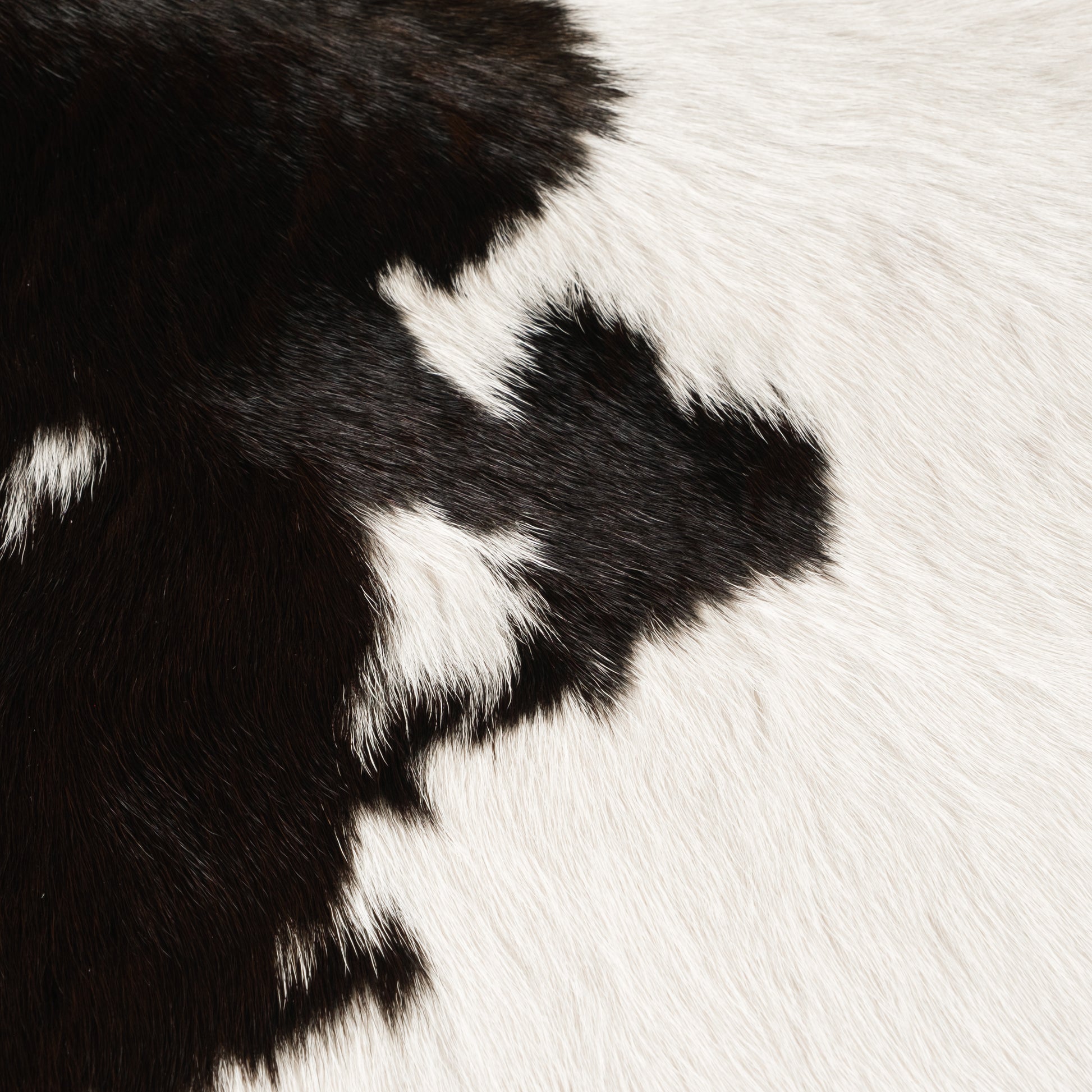 Black & White Calf Skin Rug CF157 Detail Shot 1