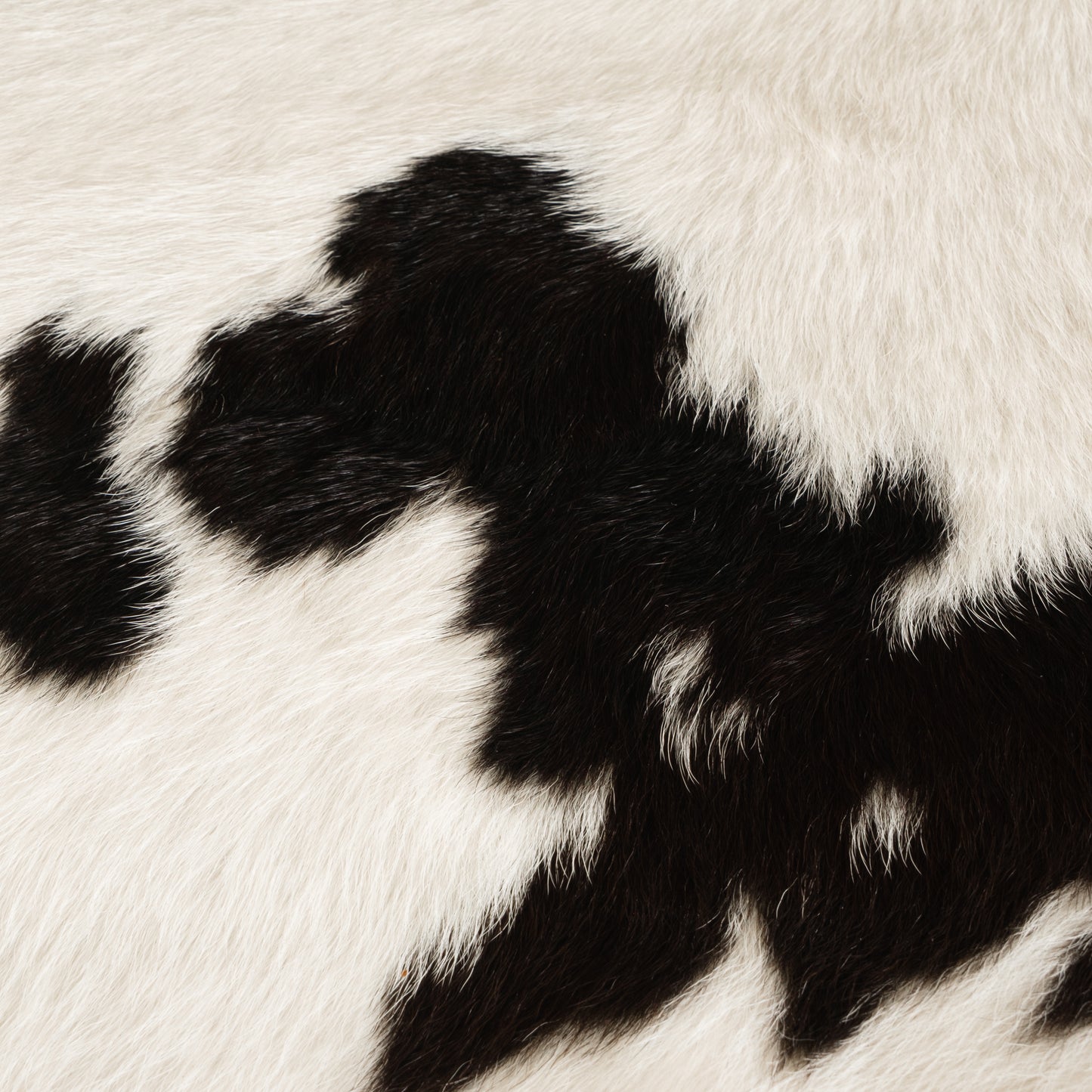 Natural Brown & White Calf Skin Rug CF161 Detail Shot 1
