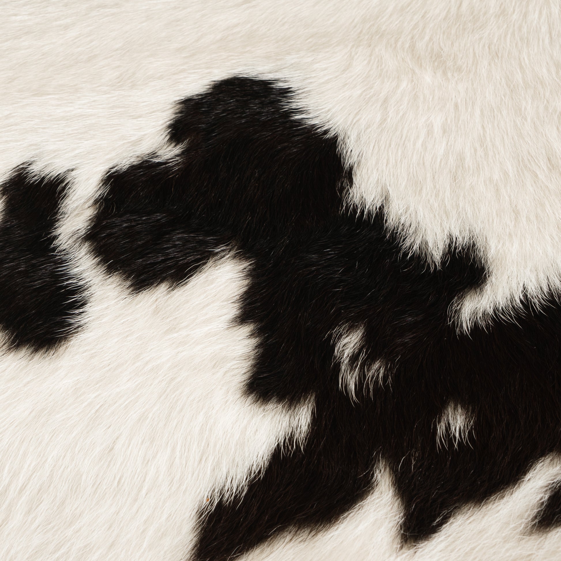 Natural Brown & White Calf Skin Rug CF161 Detail Shot 1