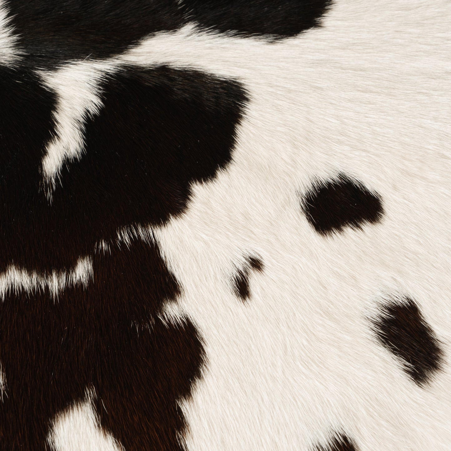 Black, Brown & White Dappled Calf Skin Rug CF163 Detail Shot 1