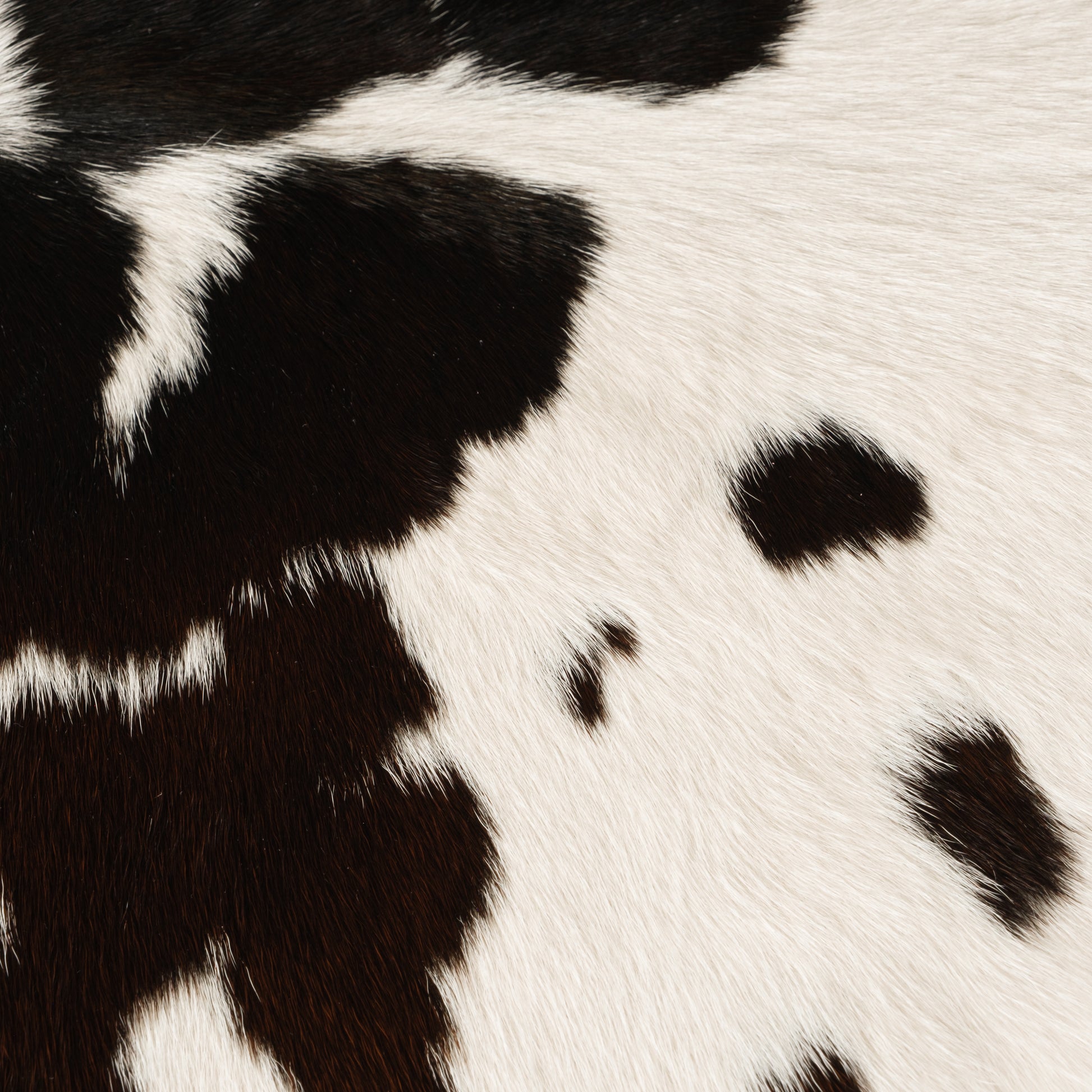 Black, Brown & White Dappled Calf Skin Rug CF163 Detail Shot 1