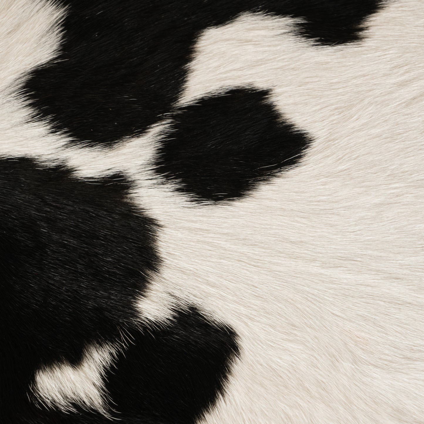 Black & White Calf Skin Rug CF174 Detail Shot 1