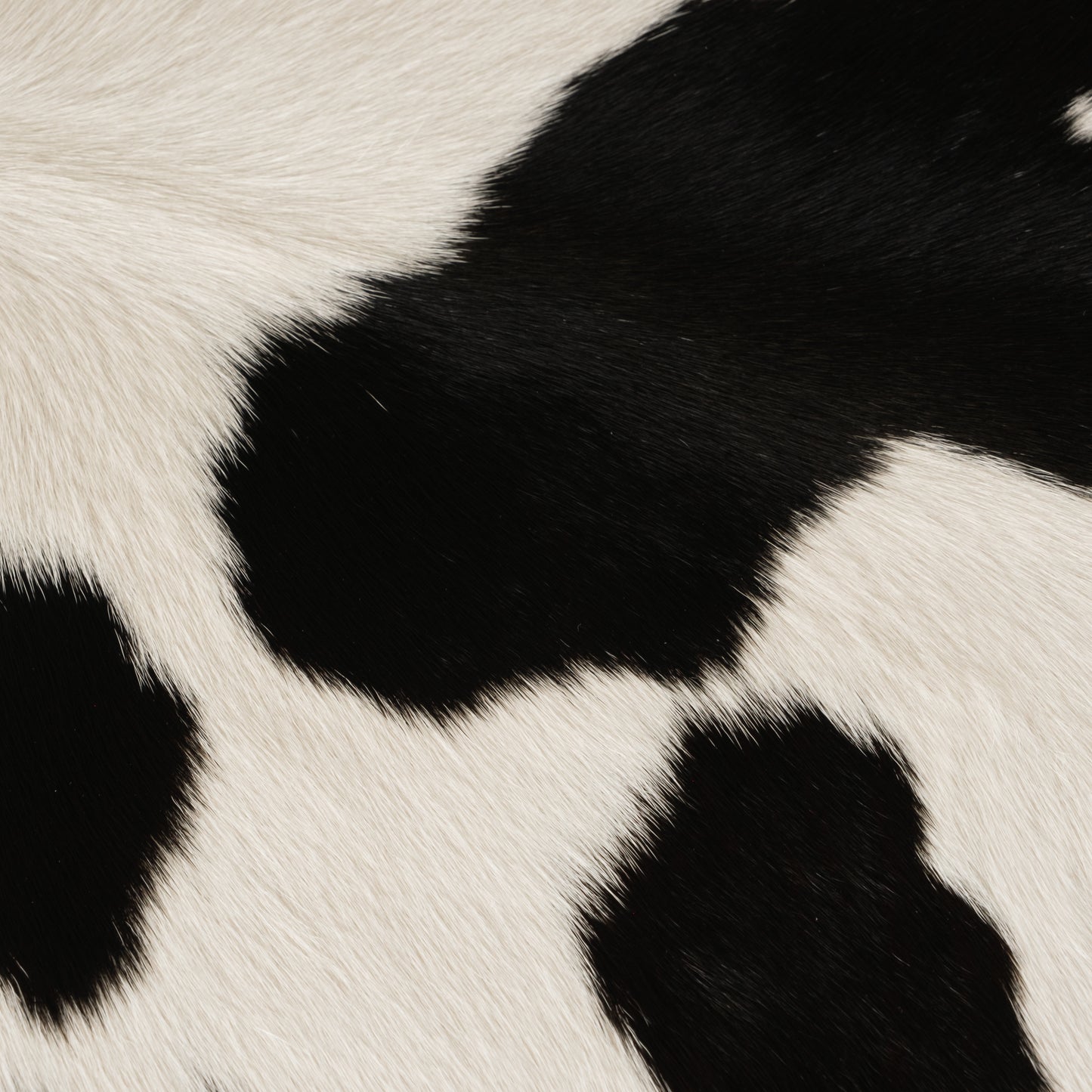 Black & White Calf Skin Rug CF176 Detail Shot 1