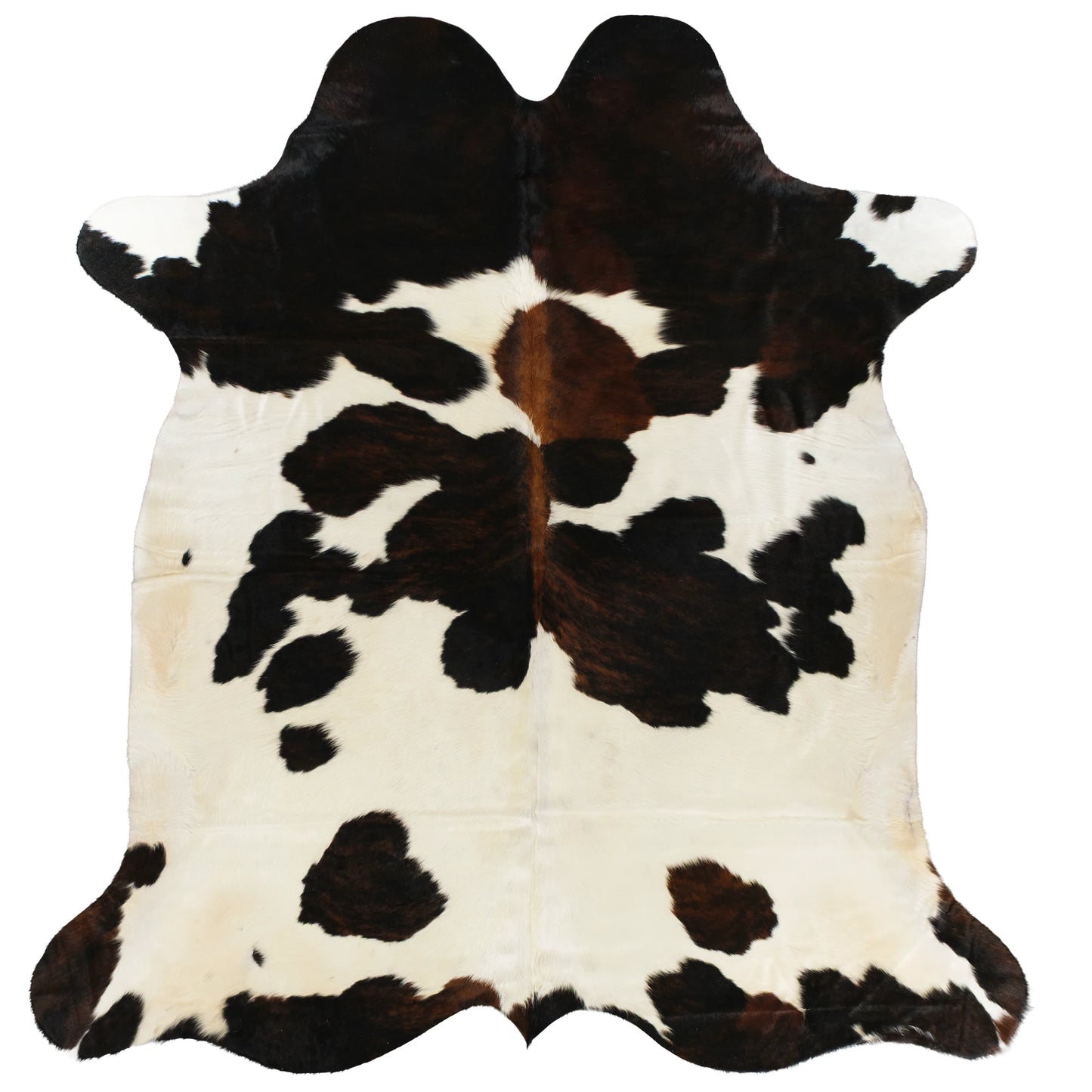 Cowskin Rugs – Tricolour Detail Shot 1