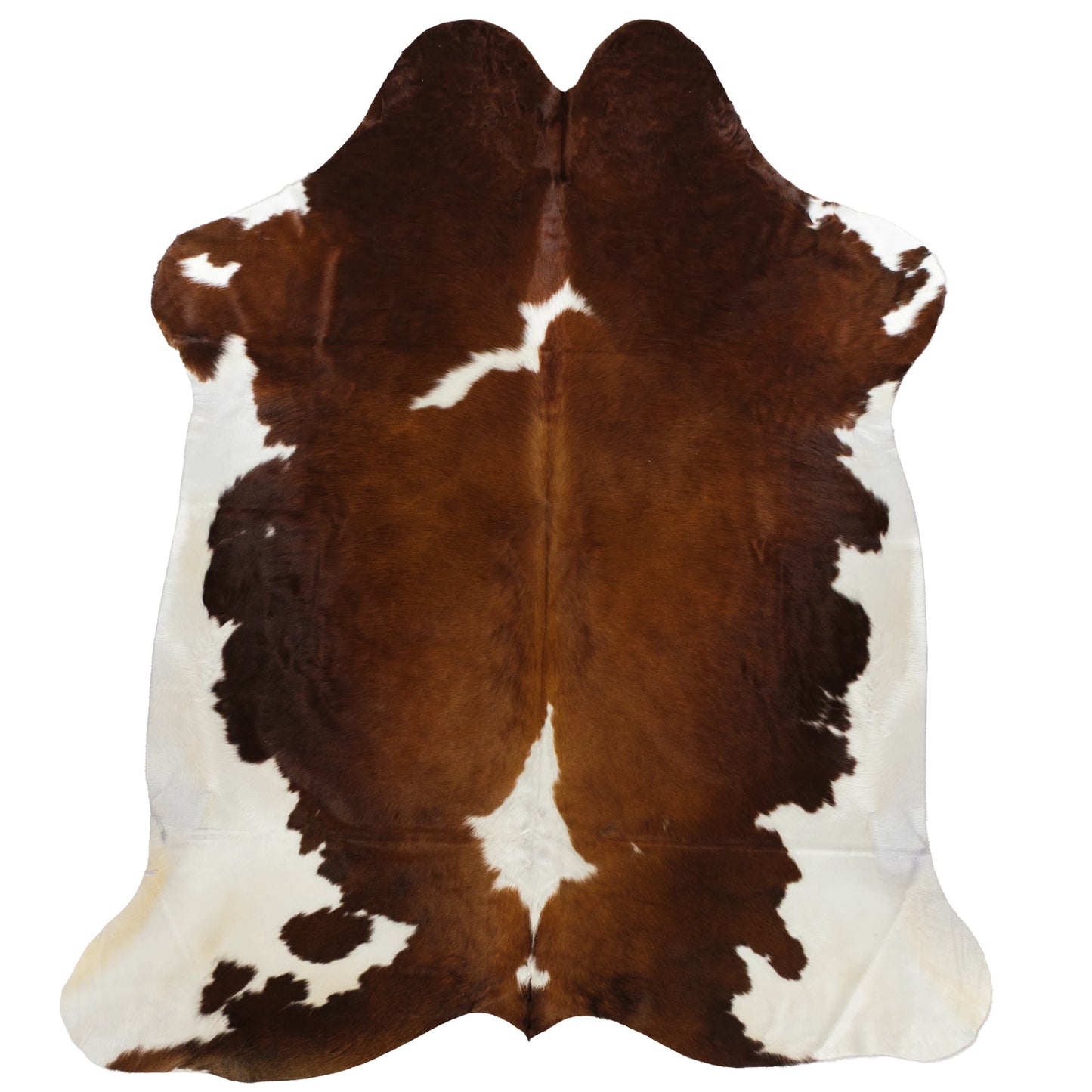 Cowskin Rugs – Brown & White Detail Shot 6