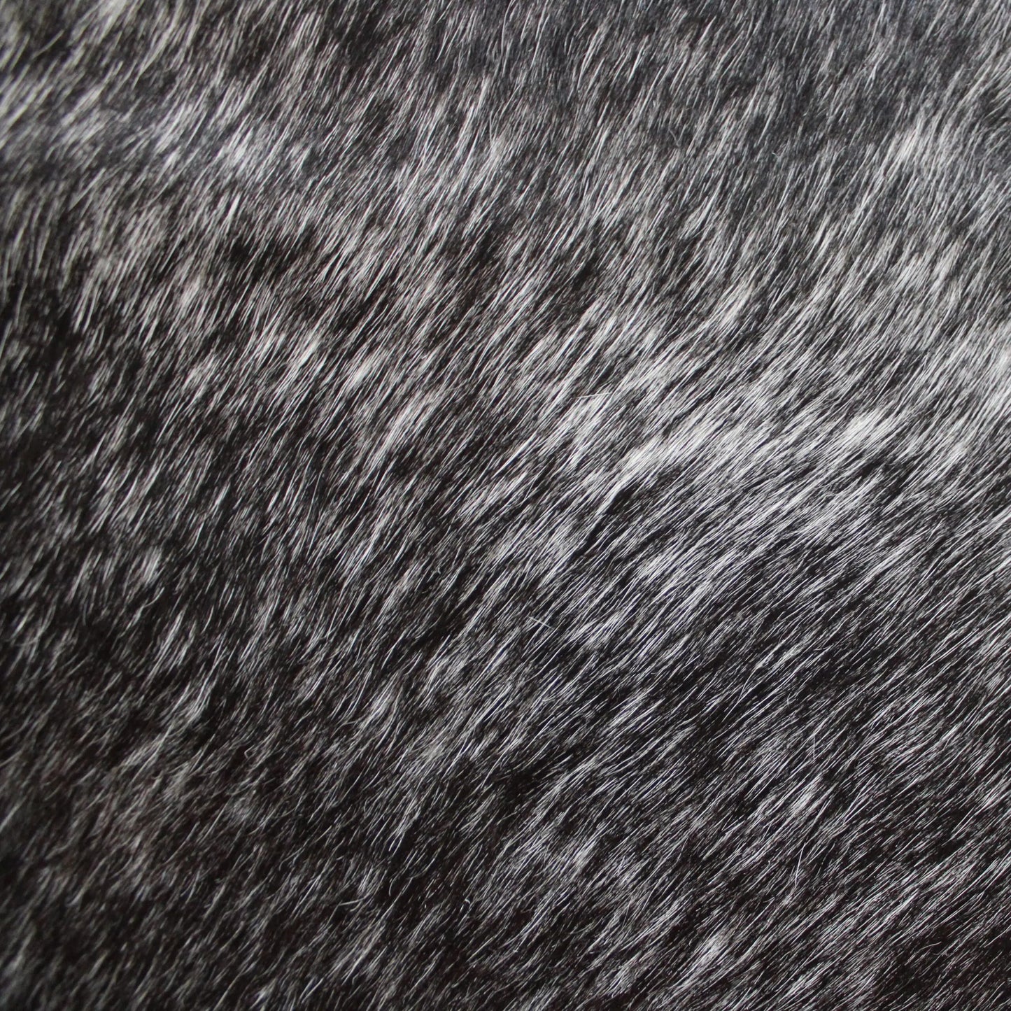 Speckled Cowskin Rug C01081