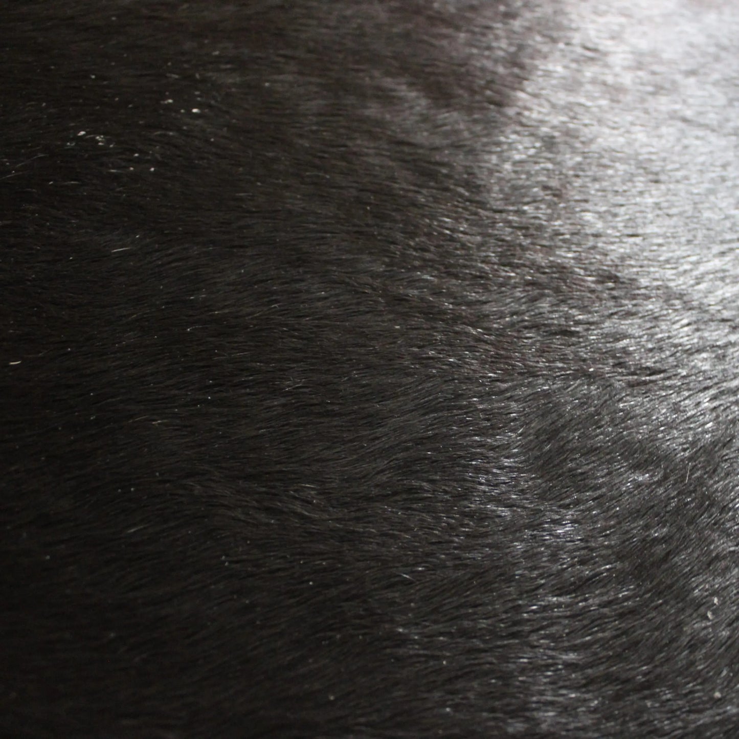 Natural Black Cowskin Rug C01048