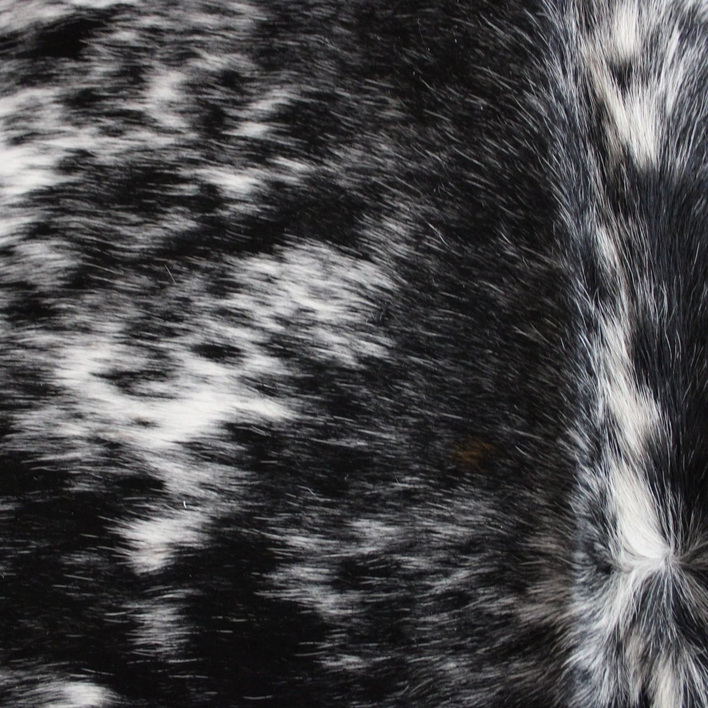 Speckled Cowskin Rug C01107